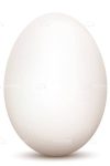 White Egg